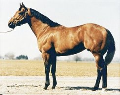 Bully  Bullion
